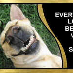 Plaza Dentistry - Dentist At 3530 Zafarano Dr Ste C1B, Santa Fe, NM 87507 1 Dr. Plaza, Dentist at Plaza Dentistry in Santa Fe