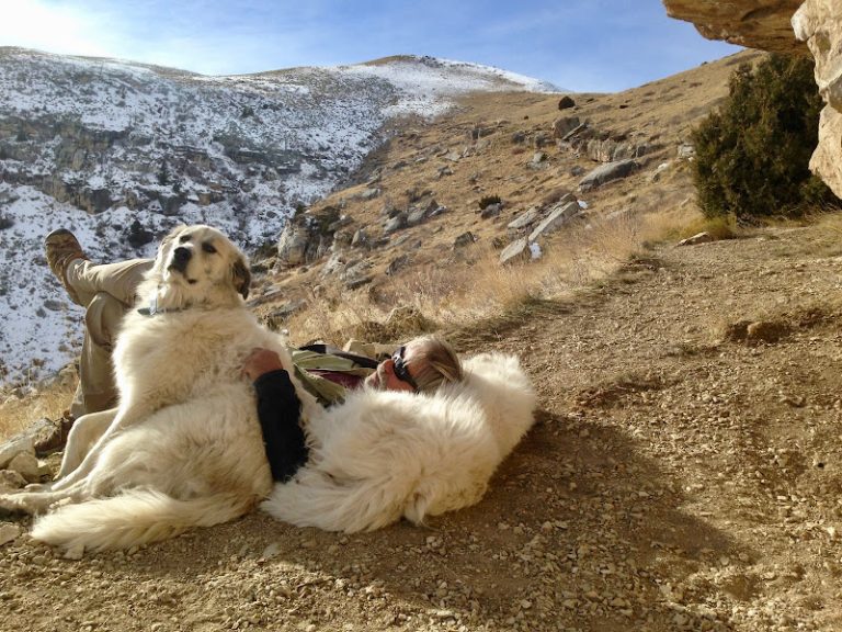 Buffalo Dental Clinic Buffalo Dental Clinic