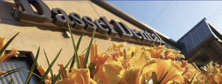 Dassel Dental Dassel Dental