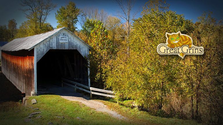 Great Grins Dentistry Great Grins Dentistry