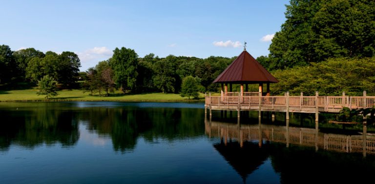 James Ryee, DDS James Ryee, DDS