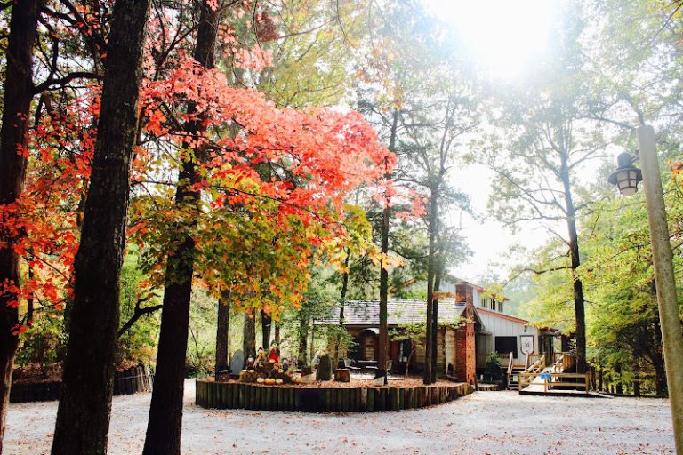 Mahan Creek Dental Mahan Creek Dental