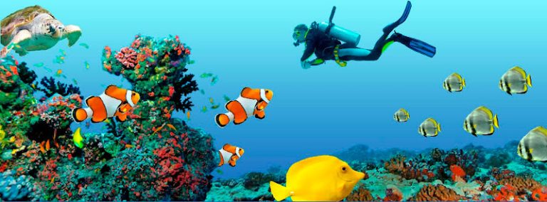 Ocean Dental Ocean Dental