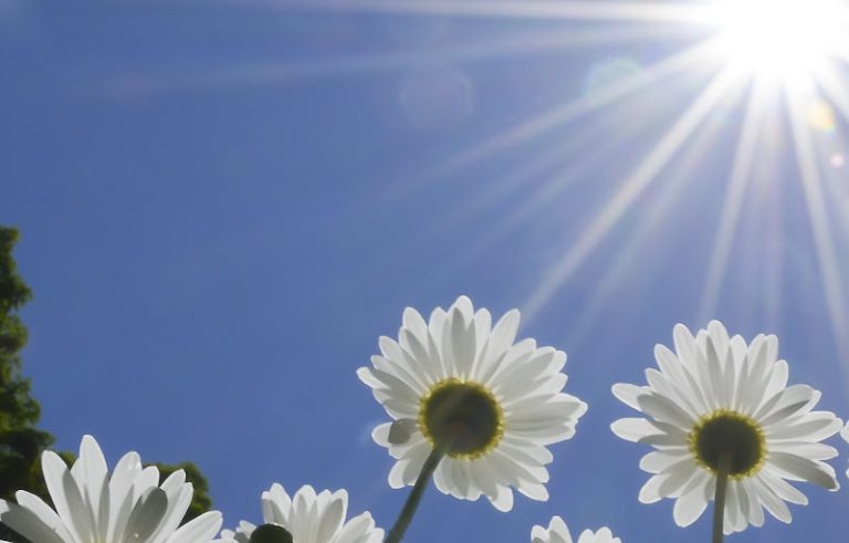 Vermont Orofacial Pain Associates Vermont Orofacial Pain Associates