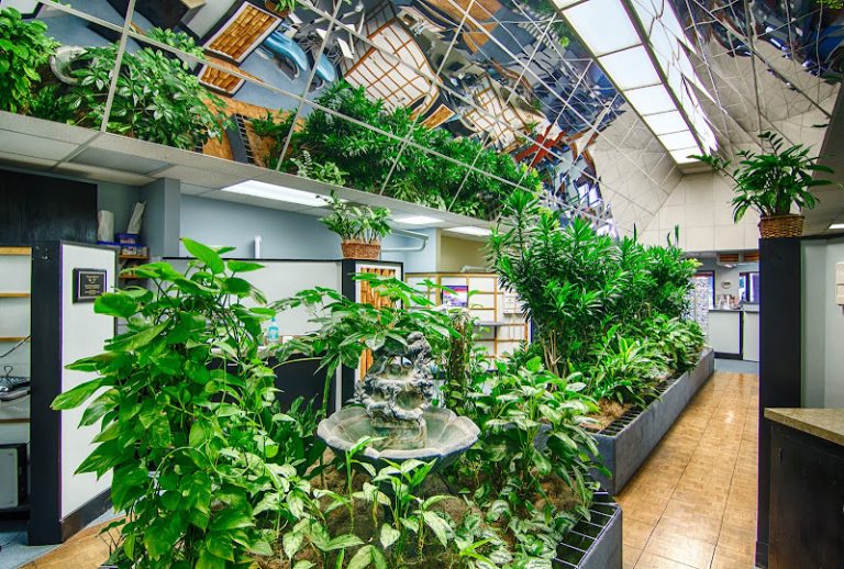 Downtown Dental Care - Dentist At 623 Main St, Little Rock, AR 72201 2 photo 0a76f896 4b9b 47d8 924d a81645c188da 768x518