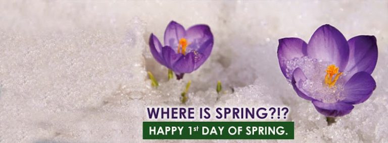 American Dental Solutions | Sinking Spring, PA - Dentist At 4744 Penn Ave, Sinking Spring, PA 19608 3 photo 115a96cb b970 4838 b8a9 c73157da7bb2 768x284