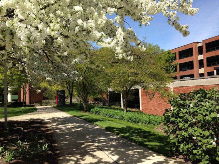 OSU Dental Faculty Practice - Dentist At 305 W 12th Ave, Columbus, OH 43210 3 photo 30096346 1ead 4993 92a8 edbd32692595 768x576