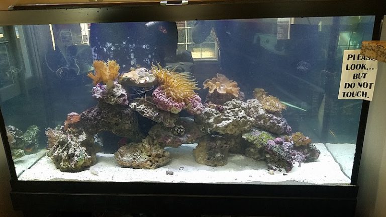 Idaho Perio Center for Dental Implants and Laser Periodontal Therapy. - Dental implants periodontist At 6019 N Eagle Rd, Boise, ID 83713 4 photo 3128c44e f297 4094 a8cd 7514e77f9123 768x432