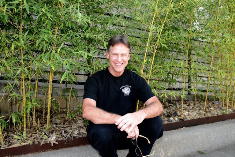 Westport Dental Associates - Dentist At 810 Salem Rd, Conway, AR 72034 2 photo 361b7b54 67b8 48ad a9cc fa00cd3ef454 768x513