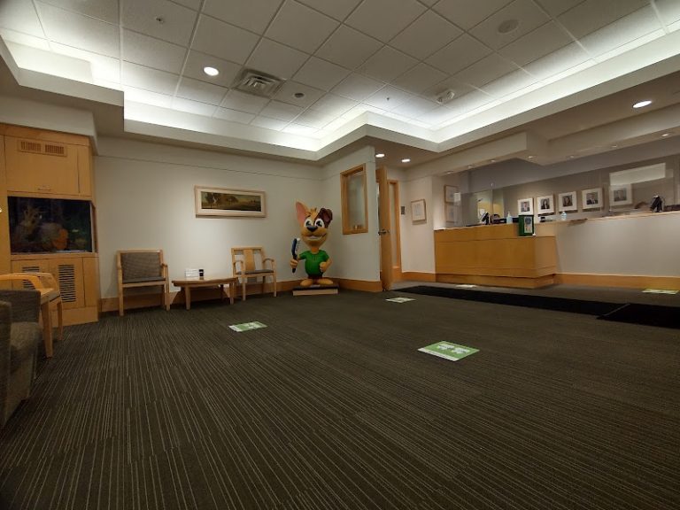 Park Dental St. Louis Park - Dental clinic At 5000 W 36th St #250, Minneapolis, MN 55416 3 photo 65ede1a3 a0dc 4c27 92bc 819126d75edd 768x576