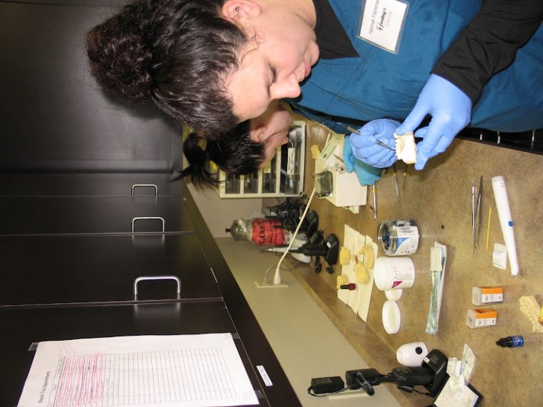 Today's Dentistry - Dentist At W68 N, 101 Evergreen Blvd, WI 53012 5 photo 66dc3a60 0857 4334 b3fd 48647b23fd6c 768x576