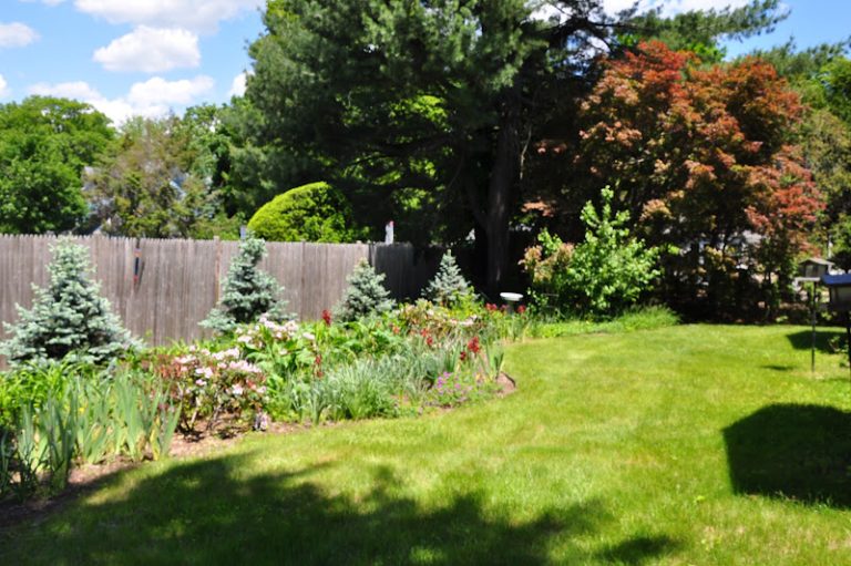 Concord Center Dental - Dental clinic At 136 Sudbury Rd, Concord, MA 01742 3 photo 6d273ad1 1161 463b b413 2e4820ce0283 768x511