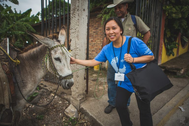 San Francisco Dental Care - Dentist At 4200 California St #210, San Francisco, CA 94118 2 photo a64bd2e7 13c2 4387 8e43 ffbe43da015a 768x513