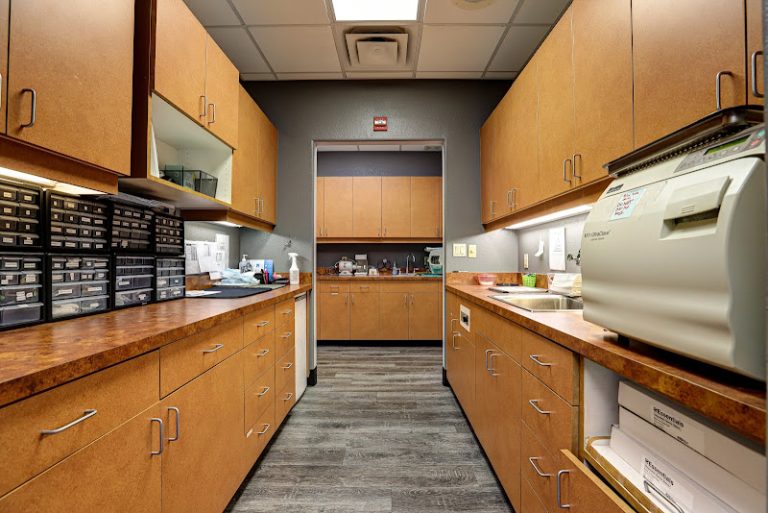 Absolute Dental - Dentist At 2450 E Guadalupe Rd #108, Gilbert, AZ 85234 3 photo ae6512c6 b102 46d4 b337 0f72959fbfca 768x513