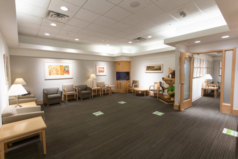 Park Dental St. Louis Park - Dental clinic At 5000 W 36th St #250, Minneapolis, MN 55416 4 photo c936c525 952f 4b4c 999a ab97c519bee6 768x513