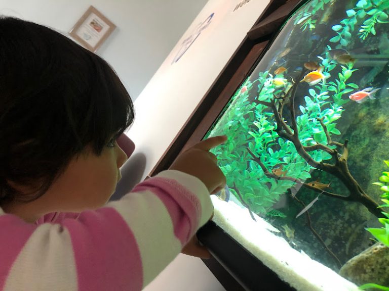 Friends and Family Dental - Dentist At 888 Broadway, East Providence, RI 02914 3 photo d7add6dc fb32 4280 87d8 039765aa0a0e 768x576