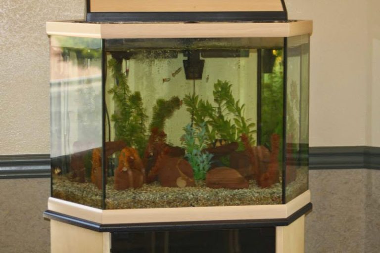 Rio Rancho Family Dental Care - Dentist At 4041 Ridge Rock Rd SE, Rio Rancho, NM 87124 2 photo f5b34dba 1d75 4bab 9963 c45b36e20eb4 768x512