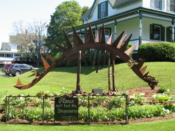 Fiddlehead Dental
