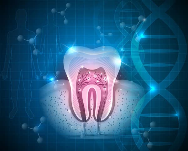 Wellness BioDentistry — photo 2