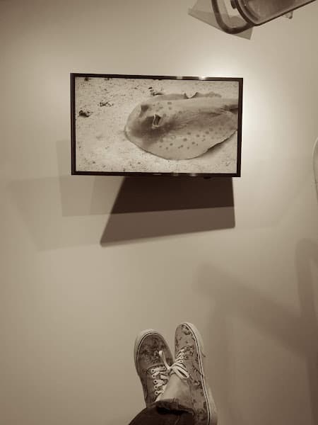 Lane & Associates Family Dentistry — photo 3