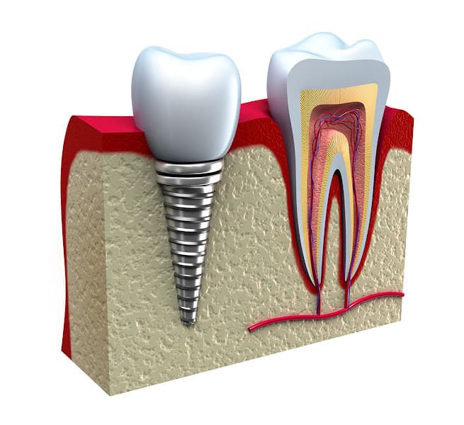 Empire Dental Group of New Jersey — photo 3