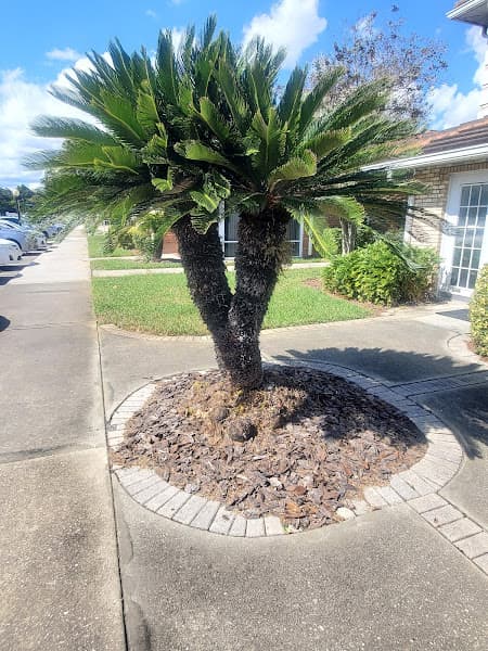 Mid-Florida Dental Assoc Inc — photo 2
