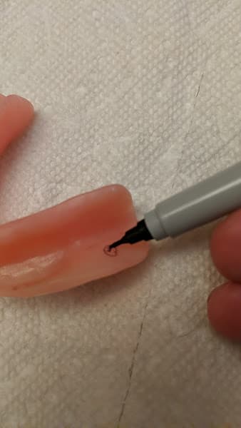 Williamsport Dental & Dentures — photo 3