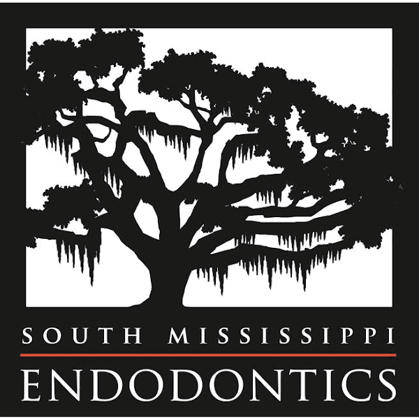 South Mississippi Endodontics — photo 3