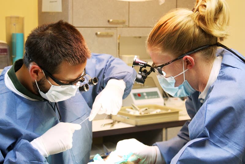UW School of Dentistry — photo 4