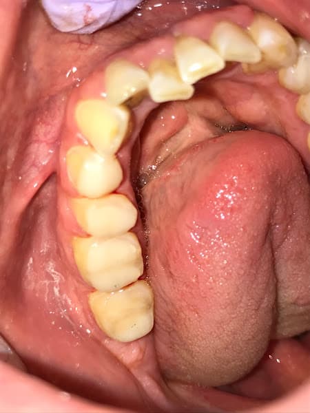 Maryland Holistic Dentist — photo 3