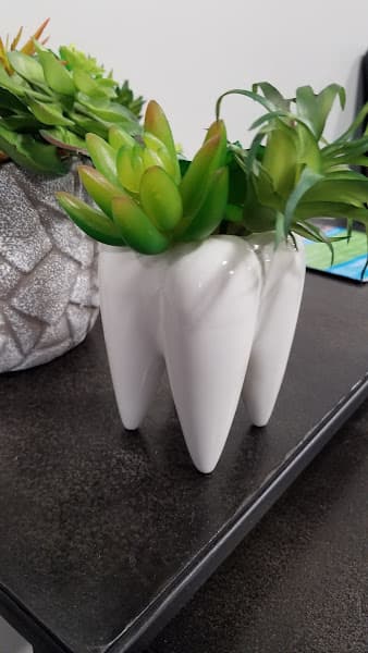 Complete Health Dentistry of West Michigan — photo 3
