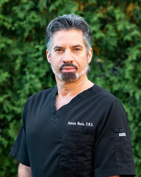 Damian D. Meola DMD & Associates — photo 3