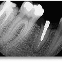 Congressional Dental Care — photo 3