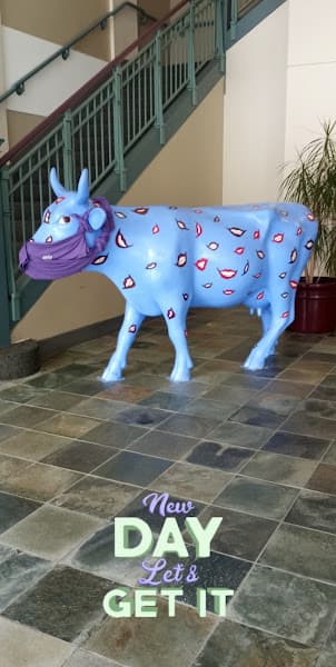 Massachusetts Dental Society - Non-profit organization — photo 3