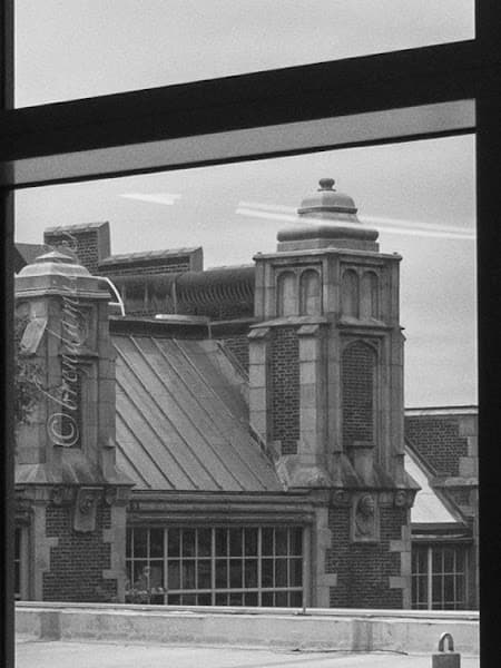 Penn Dental Medicine — photo 3
