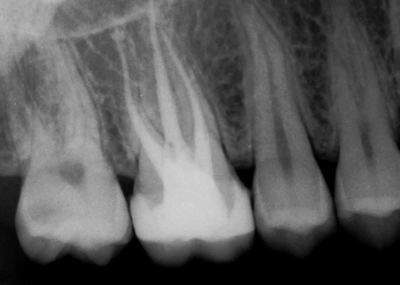 Bell Road Dental Care — photo 2