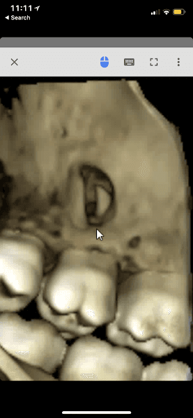 Mid Michigan Dental Center PC — photo 2