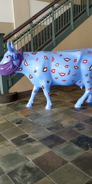 Massachusetts Dental Society - Non-profit organization — photo 2
