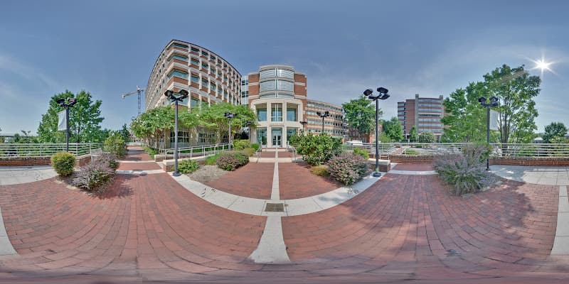 Carolina Dentistry — photo 2