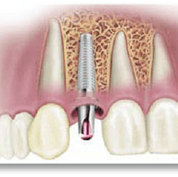Congressional Dental Care — photo 2