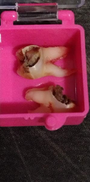 Duff Family Dental — photo 2