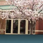 Dr. Kate Heflin - General Dentist at Bartlett Dental Associates