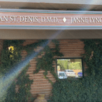 Dr. Raegan St. Denis, DMD