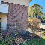 Dentist at Community Dental – Portland