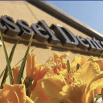 Professional photo of Dr. Kenneth D. Ness, DDS