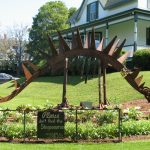 Fiddlehead Dental Team