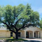 Generic professional image of a dentist representing Lampasas Dental Center