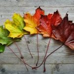 Dr. Clinton Miller, Miller Dental Jamestown