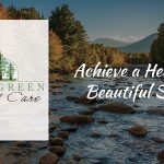 Dr. Liu - Evergreen Dental Care, Newington, NH