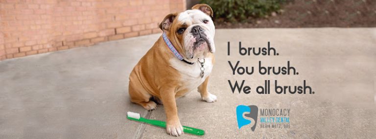 Monocacy Valley Dental